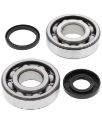 Kit roulements et joints spi de vilebrequin ALL BALLS - 24-1107