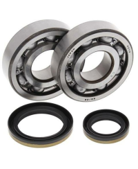 Kit roulements et joints spi de vilebrequin ALL BALLS - 24-1021