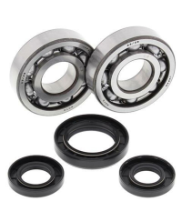 Kit roulements et joints spi de vilebrequin ALL BALLS - 24-1028