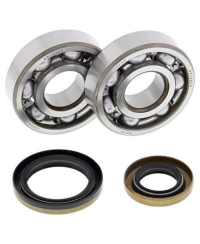 Kit roulements et joints spi de vilebrequin ALL BALLS - 24-1110