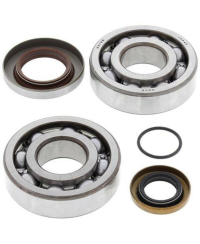 Kit roulements et joints spi de vilebrequin ALL BALLS - 24-1112