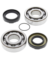 Kit roulements et joints spi de vilebrequin ALL BALLS - 24-1066