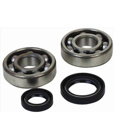 Kit roulements et joints spi de vilebrequin ALL BALLS - 24-1034