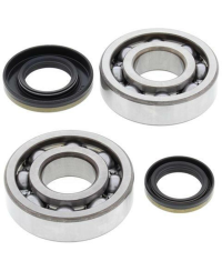Kit roulements et joints spi de vilebrequin ALL BALLS - 24-1046