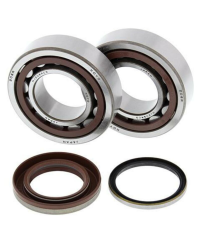 Kit roulements et joints spi de vilebrequin ALL BALLS - 24-1105
