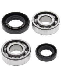 Kit roulements et joints spi de vilebrequin ALL BALLS - 24-1067