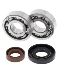Kit roulements et joints spi de vilebrequin ALL BALLS - 24-1101