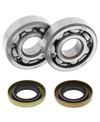 Kit roulements et joints spi de vilebrequin ALL BALLS - 24-1102