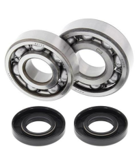 Kit roulements et joints spi de vilebrequin ALL BALLS - 24-1007