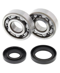 Kit roulements et joints spi de vilebrequin ALL BALLS - 24-1025