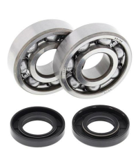 Kit roulements et joints spi de vilebrequin ALL BALLS - 24-1062