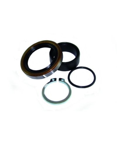 Kit reconditionnement d'arbre de sortie de boite ALL BALLS KTM SX125/150 - Husqvarna TC125 - 25-4045