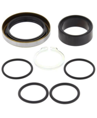 Kit reconditionnement d'arbre de sortie de boîte ALL BALLS - 25-4001