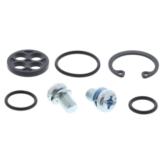 Kit de réparation de robinet d'essence ALL BALLS - 60-1096