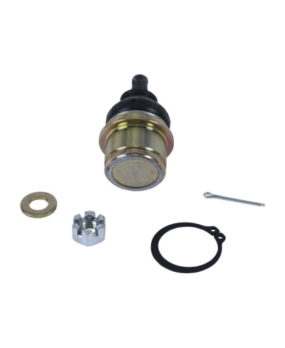 Kit reconditionnement rotule de triangle inférieur ALL BALLS - 42-1062