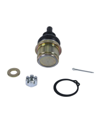 Kit reconditionnement rotule de triangle inférieur ALL BALLS - 42-1062