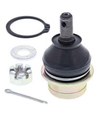 Kit reconditionnement rotule de triangle inférieur/supérieur ALL BALLS - 42-1019