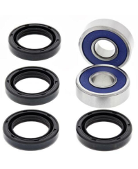 Kit reconditionnement de triangle supérieur/inférieur ALL BALLS Arctic Cat DVX300 - 50-1073