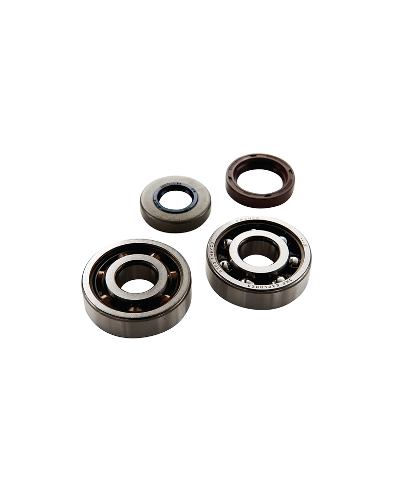 ROULEMENT VILO + JTS SPI MECABOITE TOP PERF ADAPT. AM6 - 6303