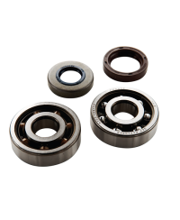 ROULEMENT VILO + JTS SPI MECABOITE TOP PERF ADAPT. AM6 - 6303