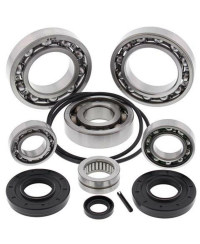 Kit roulements & joints de différentiel arrière ALL BALLS Kawasaki KRF TERYX 750 - 25-2095