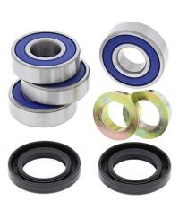 Roulement de suspension arrière ALL BALLS Can Am Outlander/Renegade - 50-1080