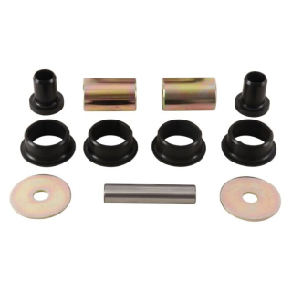 Kit d'articulation de suspension arrière ALL BALLS - 50-1212