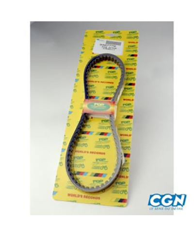 COURROIE SCOOTER TOP PERF ADAPT. EVOLIS/FIZZ/EQUALIS/SONIC 777X18.3