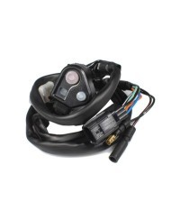 Bouton de cartographie et coupe-circuit RFX Race - type OEM