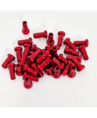 Tetes de rayons Factory-Wheels (Pack de 36)