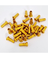 Tetes de rayons Factory-Wheels (Pack de 36)