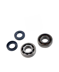 ROULEMENT VILO + JTS SPI MECABOITE TOP PERF ADAPT. DERBI SENDA/GPR EURO2/EURO3/EURO4