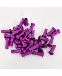 Tetes de rayons Factory-Wheels (Pack de 36)