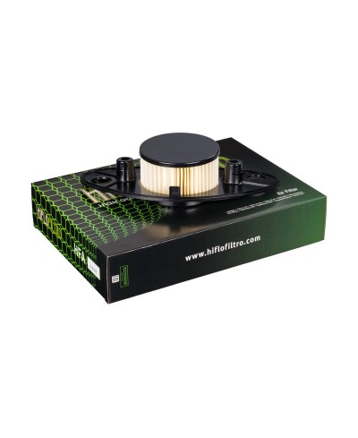 Filtre a air HIFLOFILTRO - HFA3808