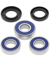 Kit roulements de roue arrière ALL BALLS Suzuki DR350R/DR350SE - 25-1066
