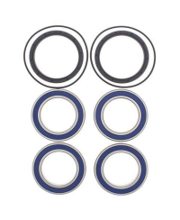 Kit roulements de roue arrière ALL BALLS Suzuki LT-R450 - 25-1534
