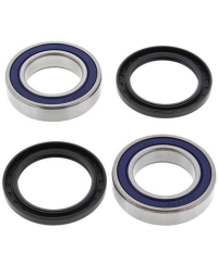 Kit roulements de roue arrière ALL BALLS - 25-1331