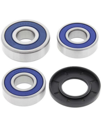 Kit roulements de roue arrière ALL BALLS - 25-1422