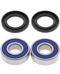 Kit roulements de roue arrière ALL BALLS Yamaha FZ8/MT-09 - 25-1659