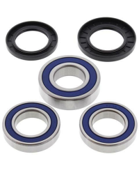 Kit roulements de roue arrière ALL BALLS Suzuki - 25-1039