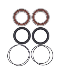 Kit roulements de roue arrière ALL BALLS Yamaha YFZ450R - 25-1612
