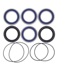 Kit roulements de roue arrière ALL BALLS Yamaha YFZ450R/YFM700R Raptor - 25-1526
