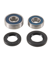 Kit roulements de roue ALL BALLS - 25-1791