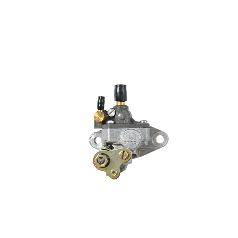 POMPE A HUILE MECABOITE DELLORTO ADAPT. AM6 - PLBD38