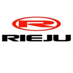 CARBURATEUR DELLORTO PHVA 12 PS OEM RIEJU BYE BIKE (0/006.052.0010)