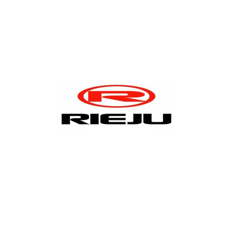 CARBURATEUR DELLORTO PHVA 12 PS OEM RIEJU BYE BIKE (0/006.052.0010)