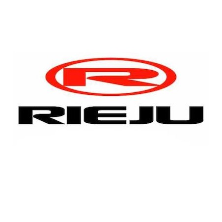 CARBURATEUR DELLORTO PHVA 12 PS OEM RIEJU BYE BIKE (0/006.052.0010)