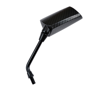 RETRO UNIVERSEL TUN'R* GP1 D10 CARBONE VERNI GAUCHE (X1)