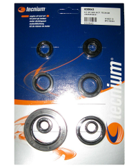 Jeu de joints spi moteur TECNIUM W.822110