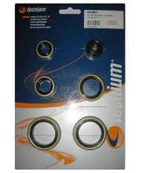 Jeu de joints spi moteur TECNIUM W.822187